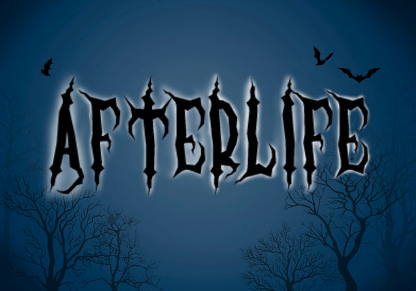 Afterlife 